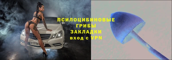эйфоретик Баксан