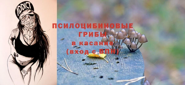 эйфоретик Баксан